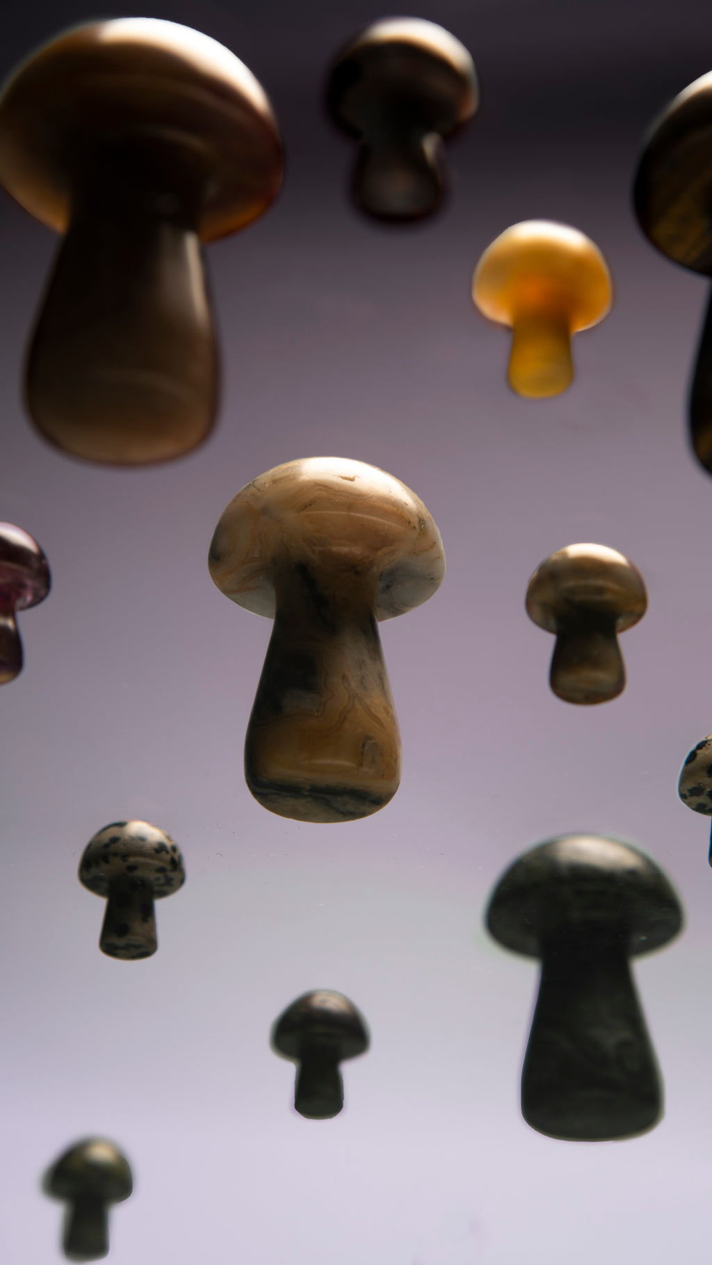 Wooden Mushroom - Plant Homewares & Lifestyle