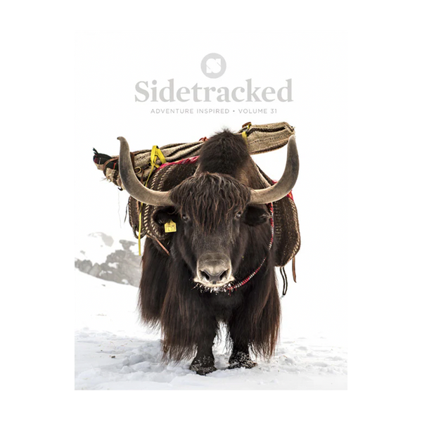 Sidetracked Magazine | Issue 31